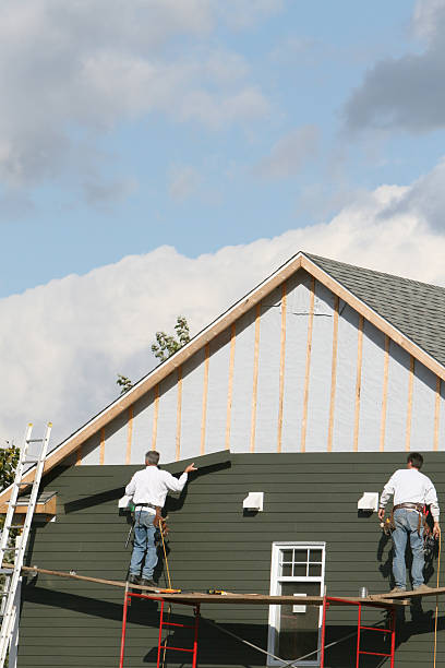 Best Siding Painting and Refinishing  in Mescal, AZ